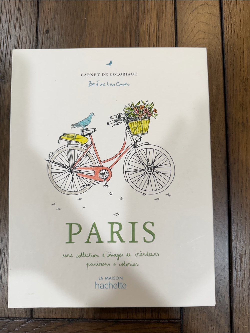 Paris Coloring Book with Multicolor Bicycle Illustration